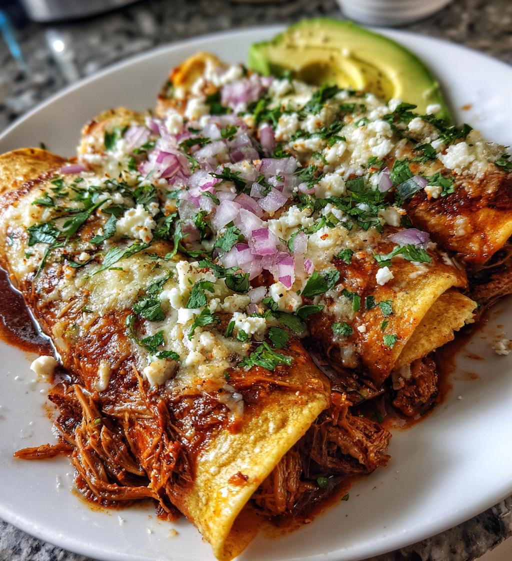 birria enchiladas