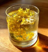 lemon blossoms