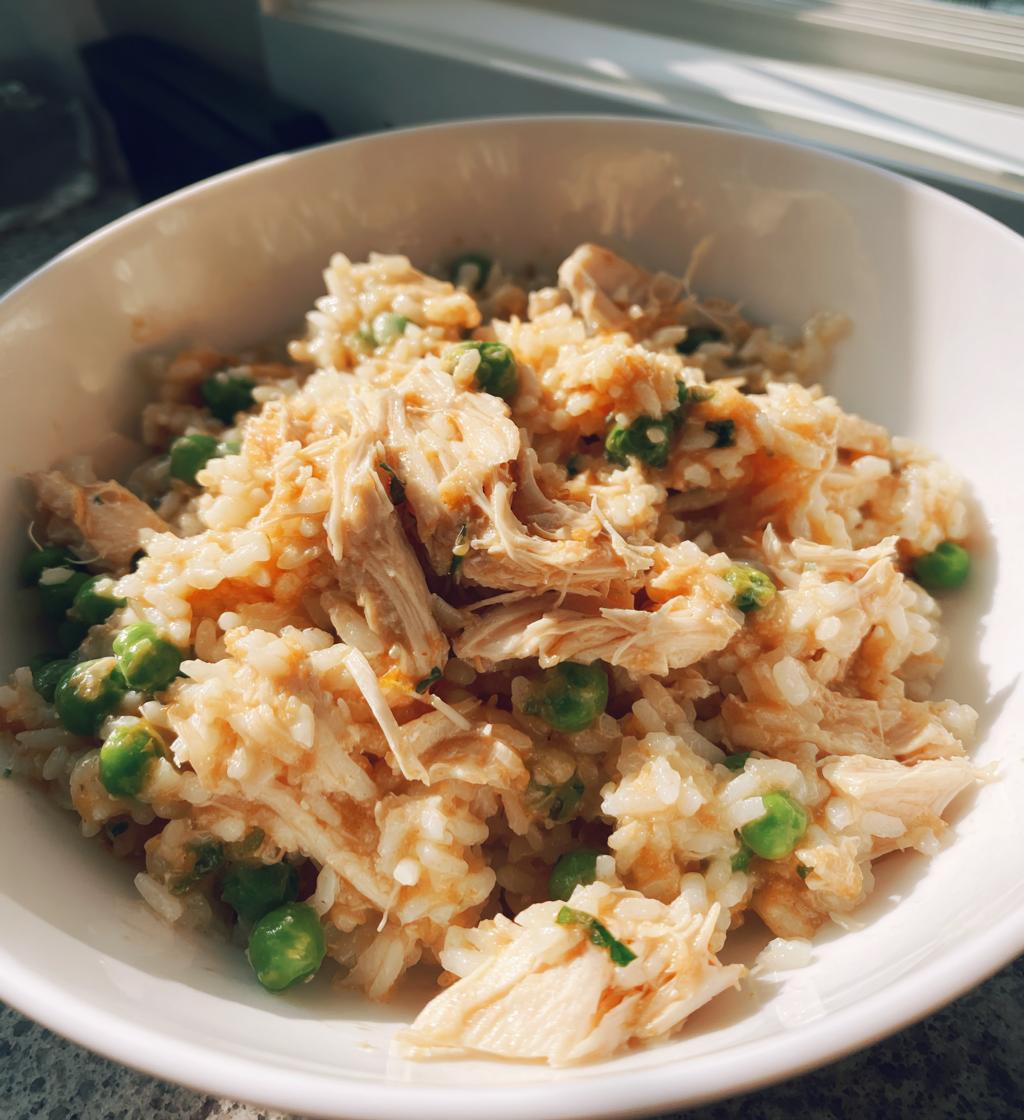 chicken and rice crockpot recipes
