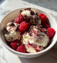 raspberry chocolate chunk ice cream