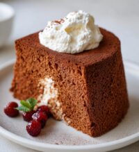 chocolate castella cake