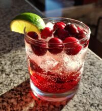 gin christmas cocktail