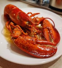 boiling lobster