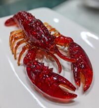 copper lobster mold