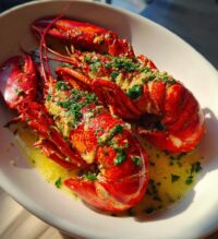 lobster recipes