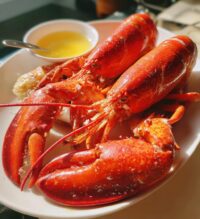 steamed lobster